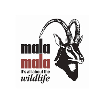 mala mala wildlife reserve